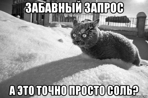 забавный запрос а это точно просто соль?
