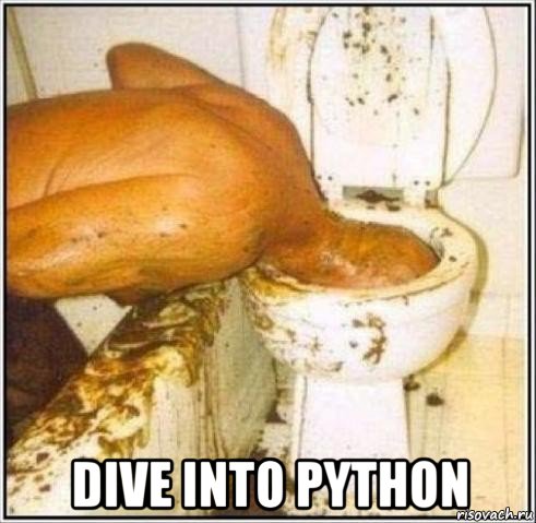  dive into python, Мем Дайвер