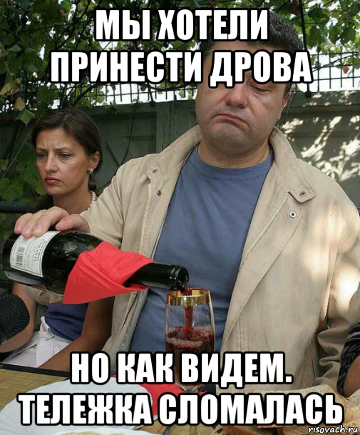 мы хотели принести дрова но как видем. тележка сломалась