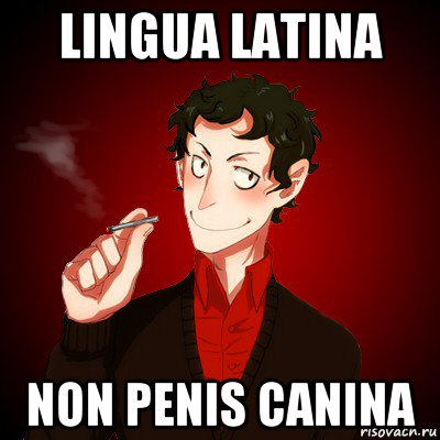 lingua latina non penis canina