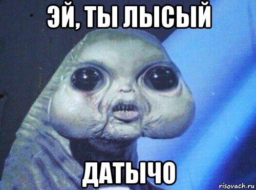 эй, ты лысый датычо