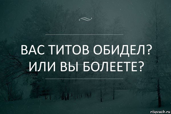 Вас Титов обидел? Или вы болеете?, Комикс Игра слов 5