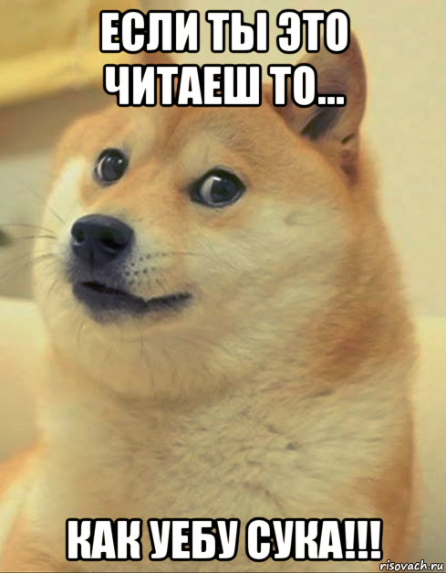 если ты это читаеш то... как уебу сука!!!, Мем doge woof