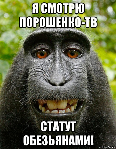 я смотрю порошенко-тв статут обезьянами!