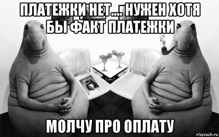 платежки нет.... нужен хотя бы факт платежки молчу про оплату