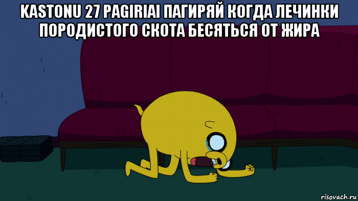 kastonu 27 pagiriai пагиряй когда лечинки породистого скота бесяться от жира , Мем     джейк плачет