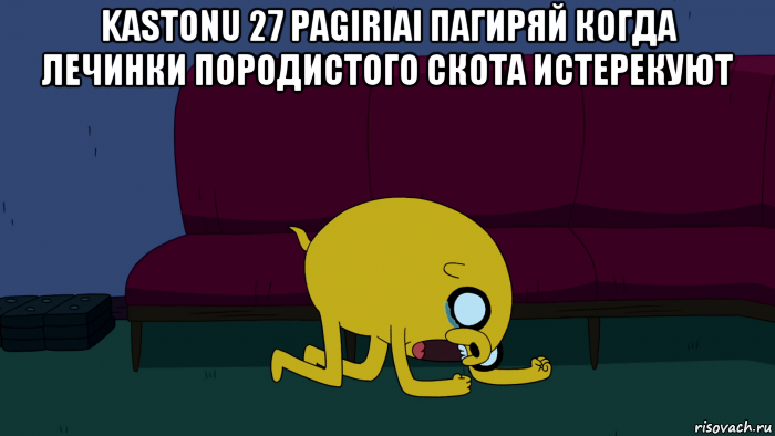 kastonu 27 pagiriai пагиряй когда лечинки породистого скота истерекуют , Мем     джейк плачет