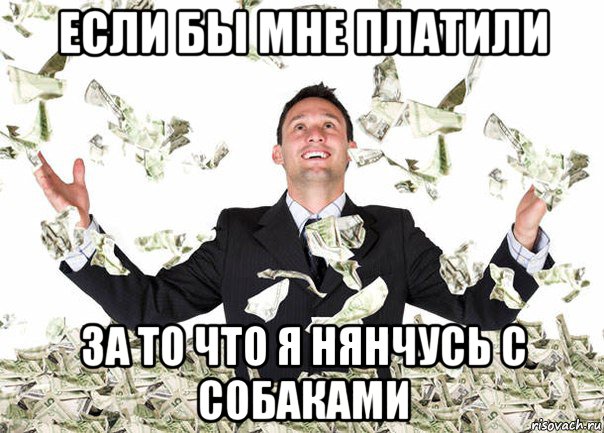если бы мне платили за то что я нянчусь с собаками