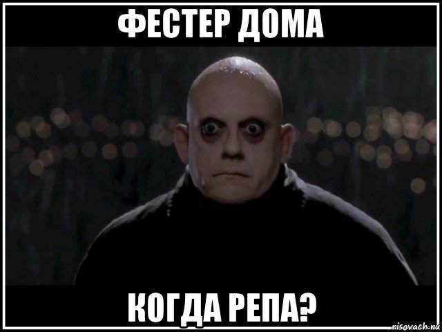 фестер дома когда репа?, Мем фестер