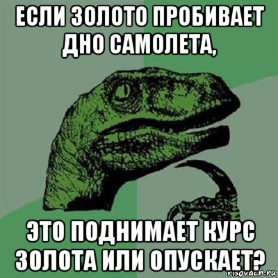 если золото пробивает дно самолета, это поднимает курс золота или опускает?, Мем Филосораптор