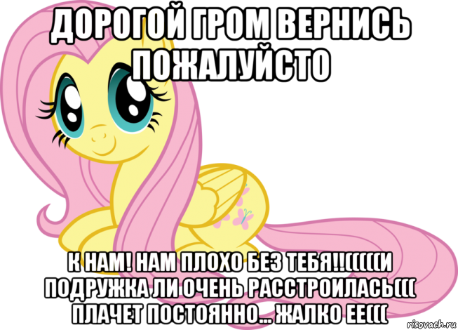 дорогой гром вернись пожалуйсто к нам! нам плохо без тебя!!(((((и подружка ли очень расстроилась((( плачет постоянно... жалко ее(((, Мем Флаттершай няшка милашка