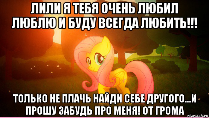 лили я тебя очень любил люблю и буду всегда любить!!! только не плачь найди себе другого...и прошу забудь про меня! от грома