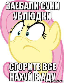 заебали суки ублюдки сгорите все нахуй в аду