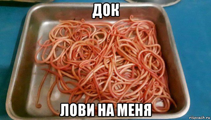 док лови на меня, Мем Французский червь