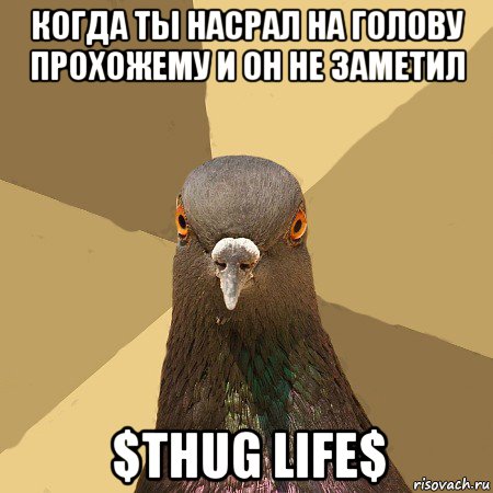 когда ты насрал на голову прохожему и он не заметил $thug life$