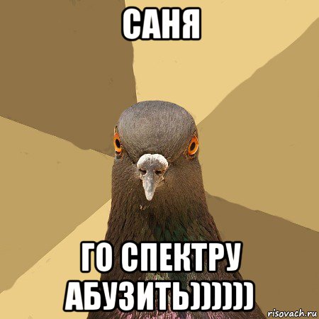 саня го спектру абузить)))))), Мем голубь