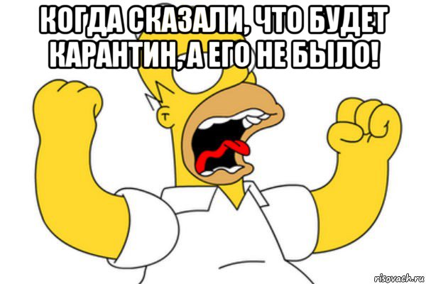 когда сказали, что будет карантин, а его не было! , Мем Разъяренный Гомер