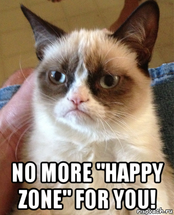  no more "happy zone" for you!, Мем Grumpy Cat small