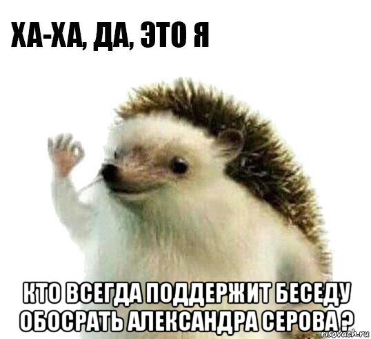  кто всегда поддержит беседу обосрать александра серова ?, Мем Ха-ха да это я