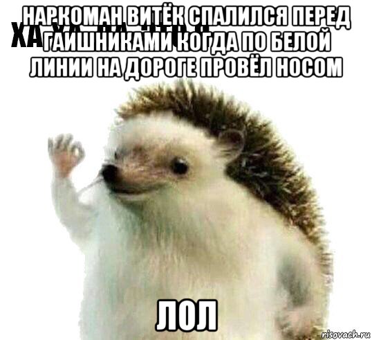 наркоман витёк спалился перед гаишниками когда по белой линии на дороге провёл носом лол, Мем Ха-ха да это я