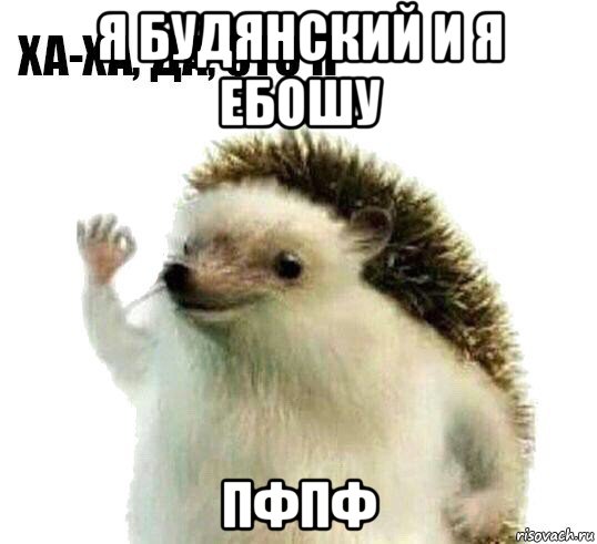 я будянский и я ебошу пфпф, Мем Ха-ха да это я