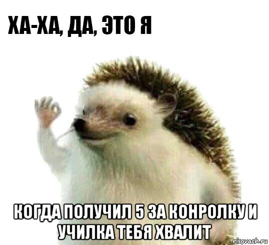  когда получил 5 за конролку и училка тебя хвалит, Мем Ха-ха да это я