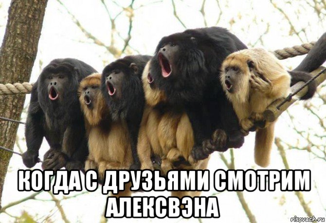  когда с друзьями смотрим алексвэна