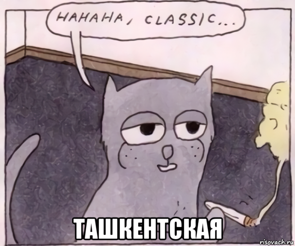  ташкентская, Мем Hahaha classic
