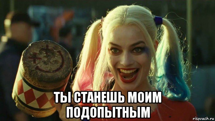  ты станешь моим подопытным, Мем    Harley quinn