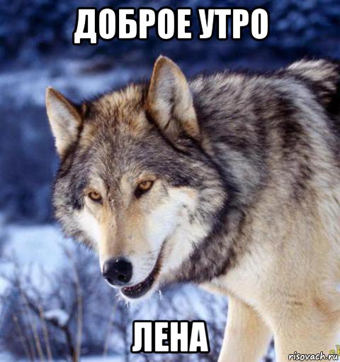 доброе утро лена