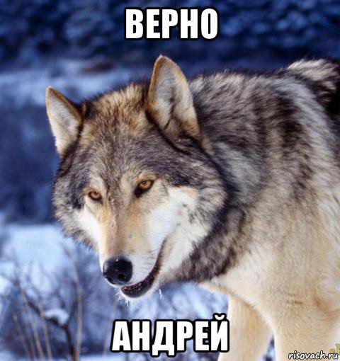 верно андрей