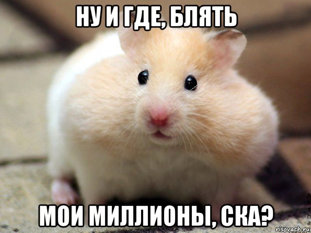 ну и где, блять мои миллионы, ска?