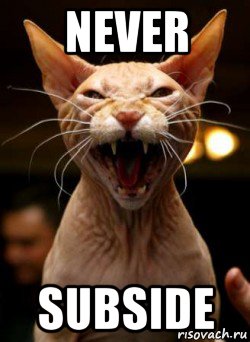 never subside
