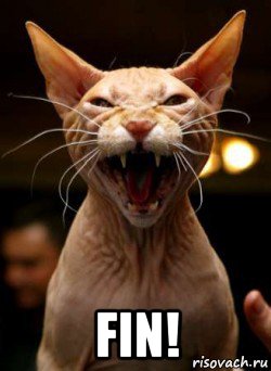  fin!