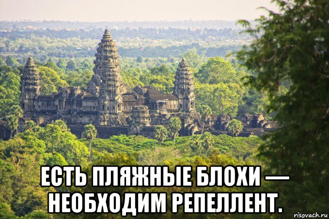  есть пляжные блохи — необходим репеллент.