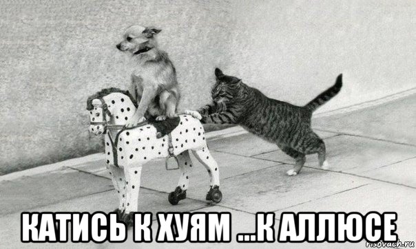  катись к хуям ...к аллюсе
