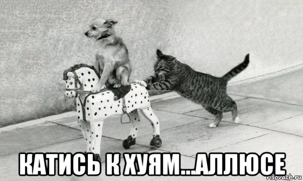  катись к хуям...аллюсе