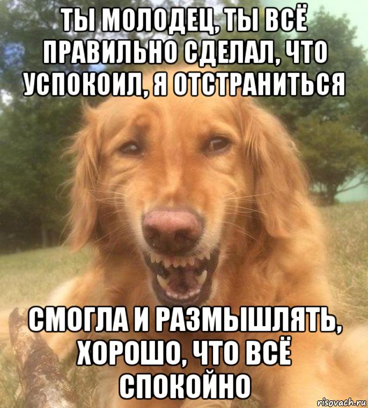 ты молодец, ты всё правильно сделал, что успокоил, я отстраниться смогла и размышлять, хорошо, что всё спокойно, Мем   Когда увидел что соседского кота отнесли в чебуречную