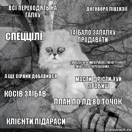 Всі переходять на галку Масти дрісти хуй зробиш Заїбало запалку продавати Клієнти підараси А ще сірник добавився Договора ліцензії План по лд 80 точок Спеццілі Косів заїбав Давідофф імперіалісти не пишуть в перевідних, Комикс  кот безысходность