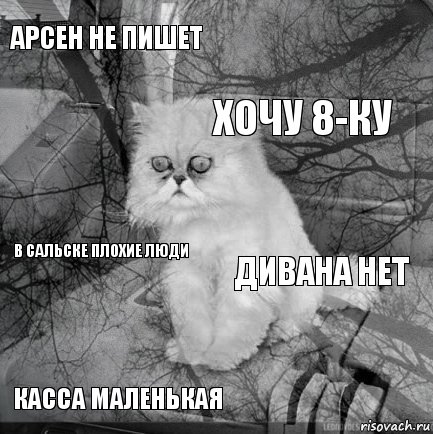 Арсен не пишет Дивана нет Хочу 8-ку Касса маленькая В сальске плохие люди     , Комикс  кот безысходность