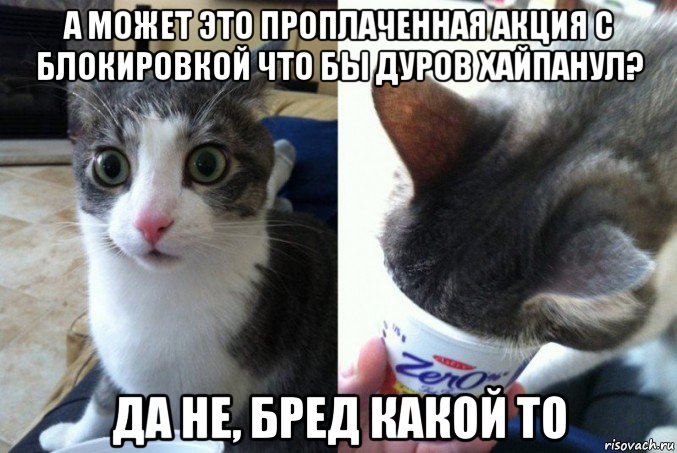 а может это проплаченная акция с блокировкой что бы дуров хайпанул? да не, бред какой то