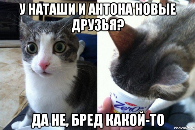 у наташи и антона новые друзья? да не, бред какой-то