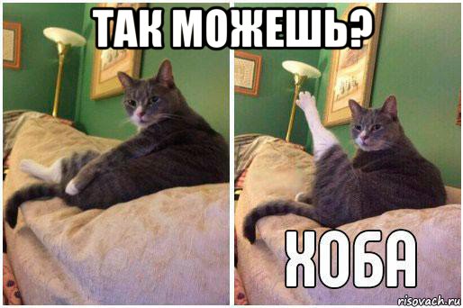 так можешь? , Комикс Кот Хоба