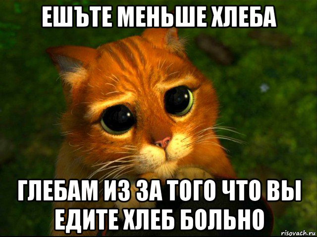 ешъте меньше хлеба глебам из за того что вы едите хлеб больно, Мем кот из шрека