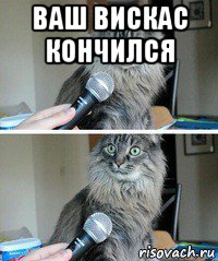 ваш вискас кончился 
