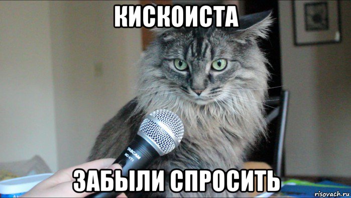 кискоиста забыли спросить