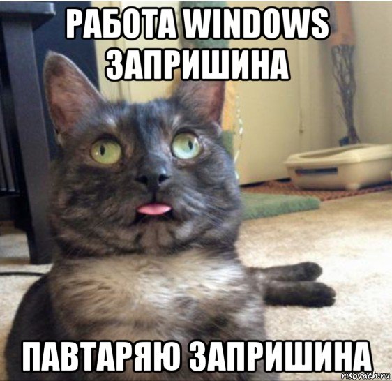 работа windows запришина павтаряю запришина, Мем   Кот завис