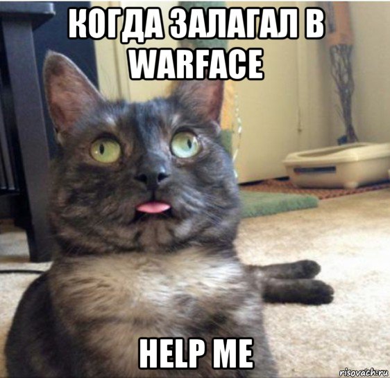 когда залагал в warface help me, Мем   Кот завис