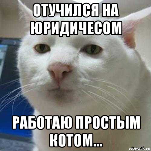 отучился на юридичесом работаю простым котом...