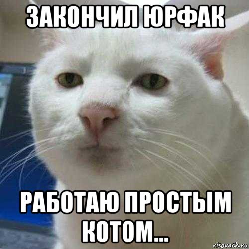 закончил юрфак работаю простым котом...